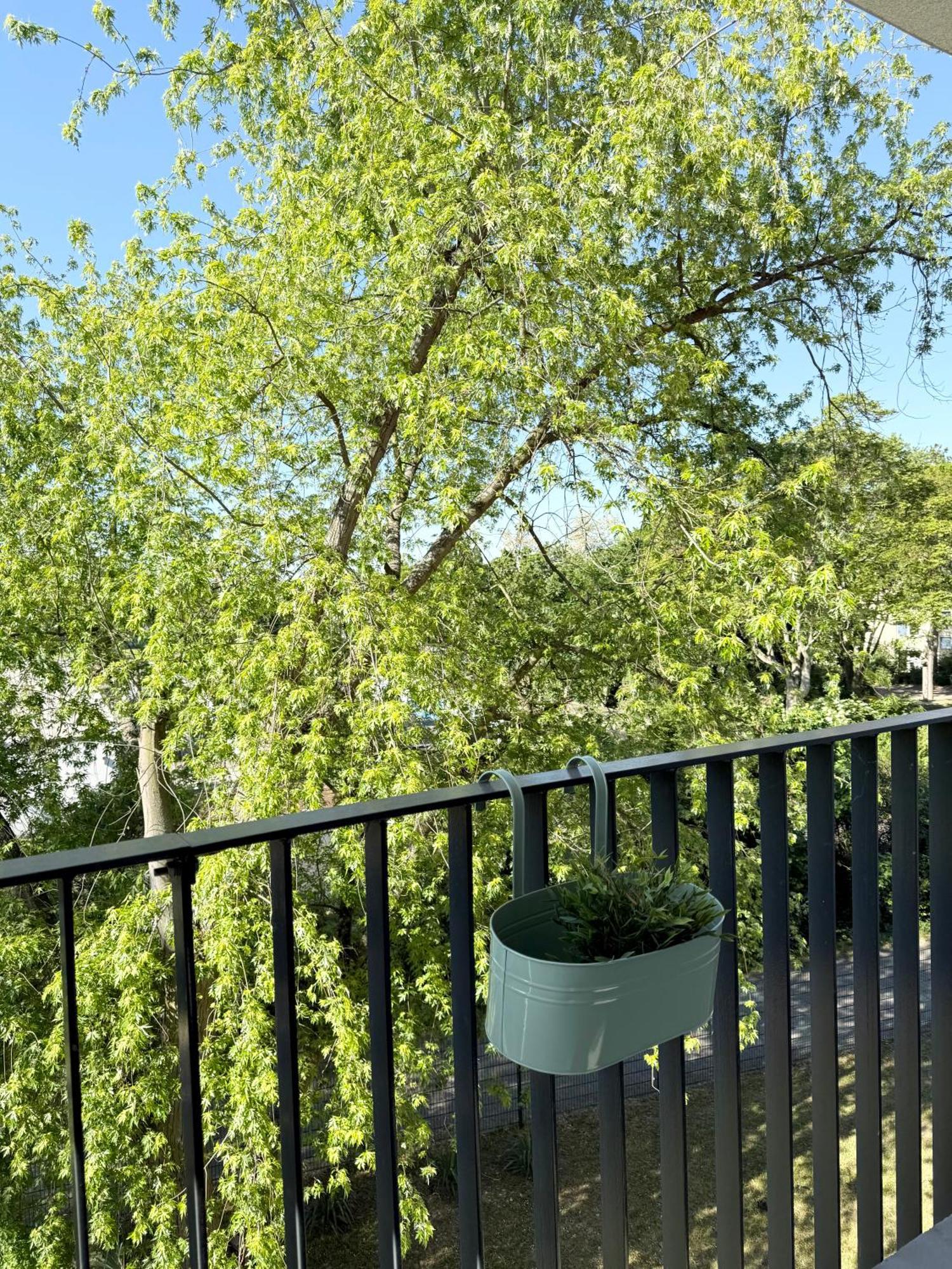 Ela Apartments MHG Dış mekan fotoğraf